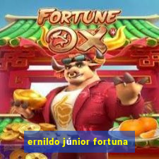 ernildo júnior fortuna